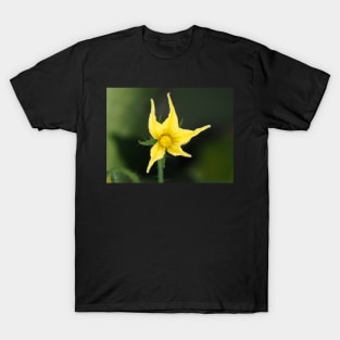 Tomato flower close-up T-Shirt